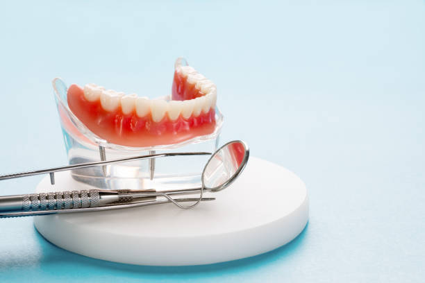 Professional  Holistic Dental Services in Maury, NC